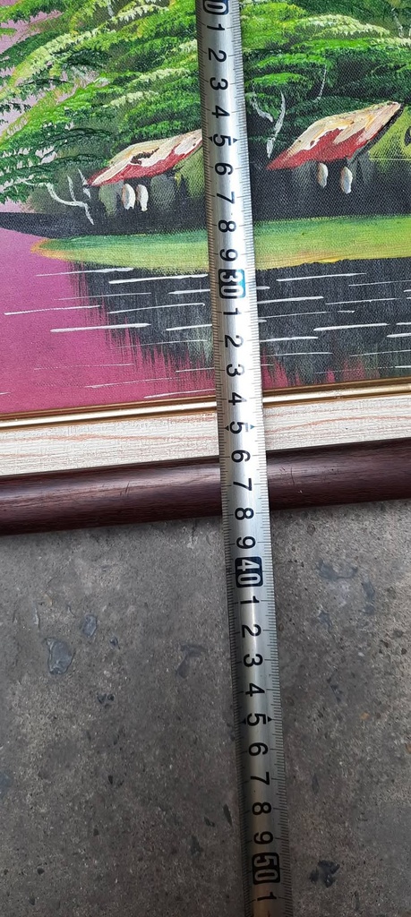 Tranh phong cảnh làng quê ven sông bầu trời hồng — measurement