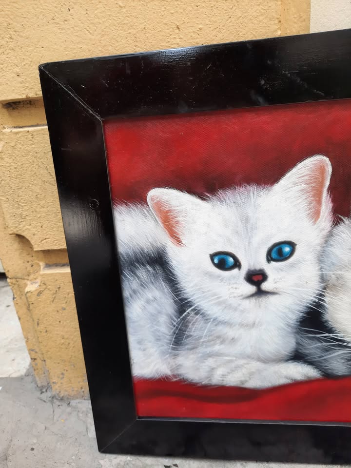 Tranh sơn dầu đôi mèo trắng — close_up
